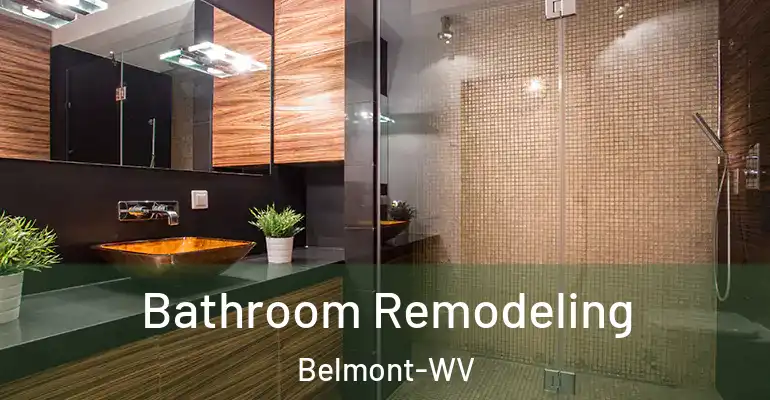 inner Bathroom imggen Bathroom Remodeling Belmont-WV