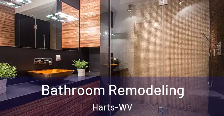 inner Bathroom imggen Bathroom Remodeling Harts-WV