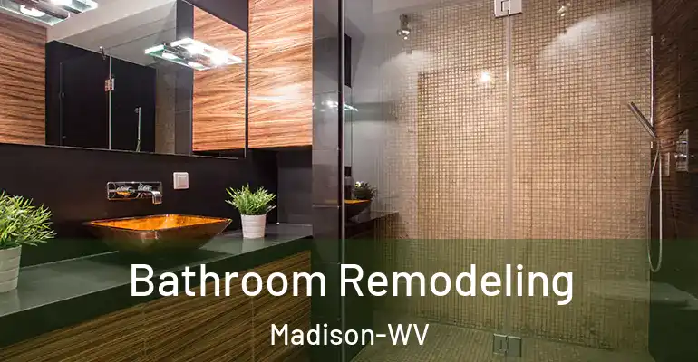 inner Bathroom imggen Bathroom Remodeling Madison-WV