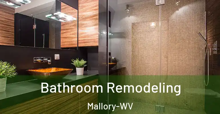 inner Bathroom imggen Bathroom Remodeling Mallory-WV