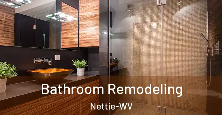 inner Bathroom imggen Bathroom Remodeling Nettie-WV