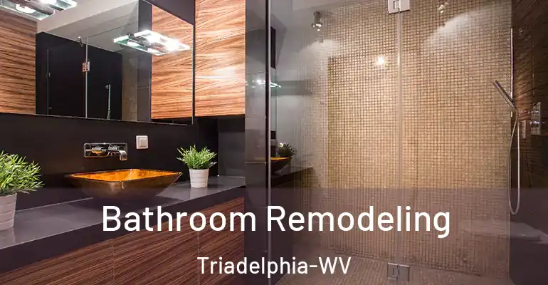inner Bathroom imggen Bathroom Remodeling Triadelphia-WV
