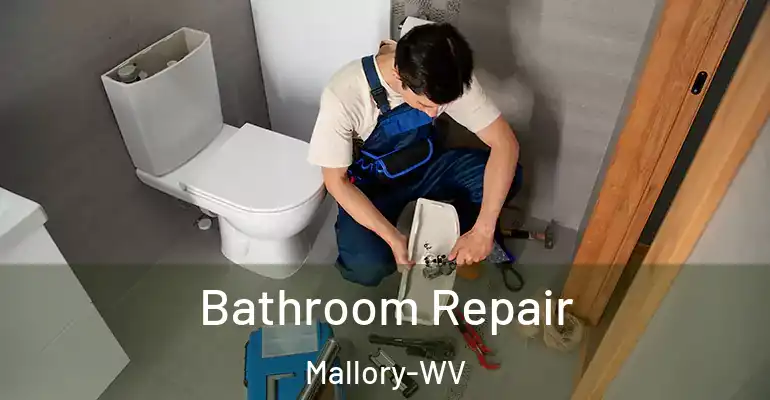 inner Bathroom imggen Bathroom Repair Mallory-WV