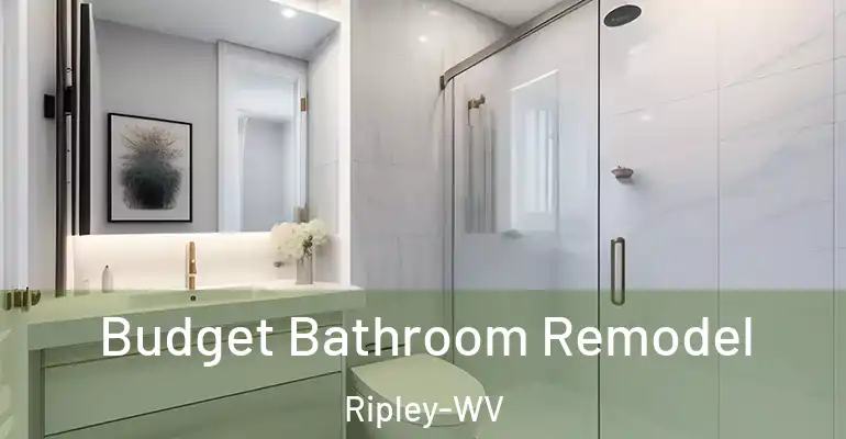 inner Bathroom imggen Budget Bathroom Remodel Ripley-WV