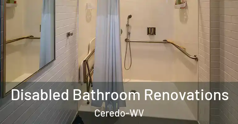 inner Bathroom imggen Disabled Bathroom Renovations Ceredo-WV
