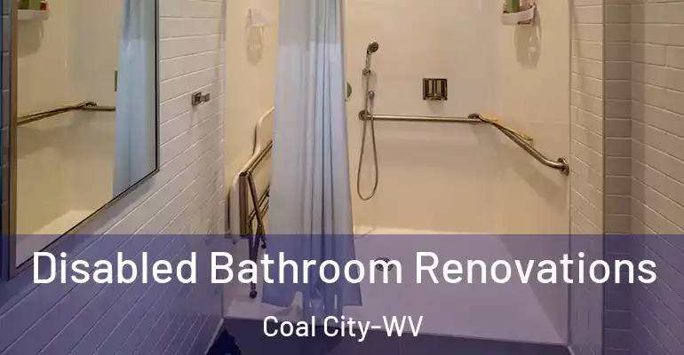 inner Bathroom imggen Disabled Bathroom Renovations Coal City-WV