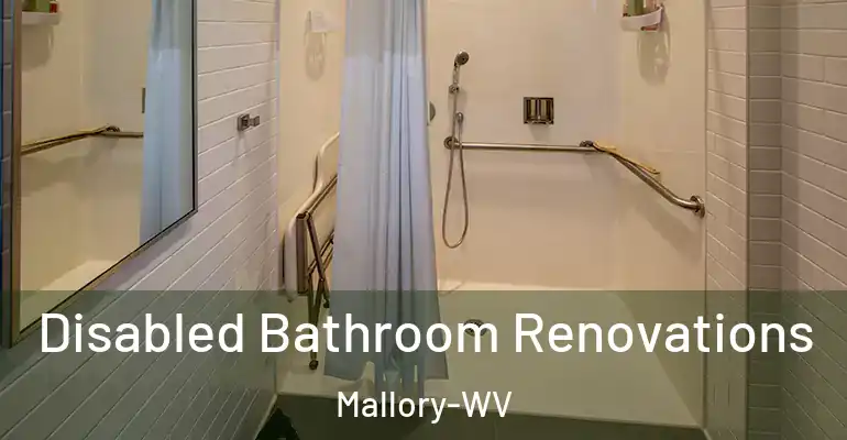inner Bathroom imggen Disabled Bathroom Renovations Mallory-WV