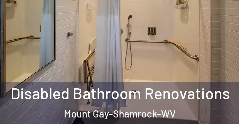 inner Bathroom imggen Disabled Bathroom Renovations Mount Gay-Shamrock-WV