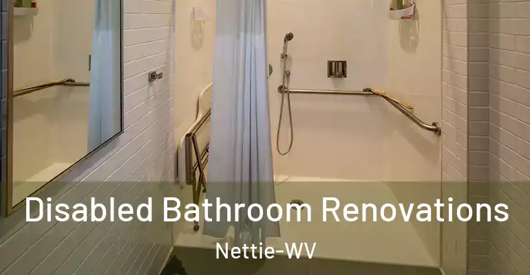 inner Bathroom imggen Disabled Bathroom Renovations Nettie-WV