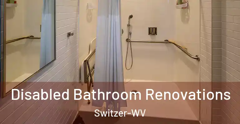 inner Bathroom imggen Disabled Bathroom Renovations Switzer-WV