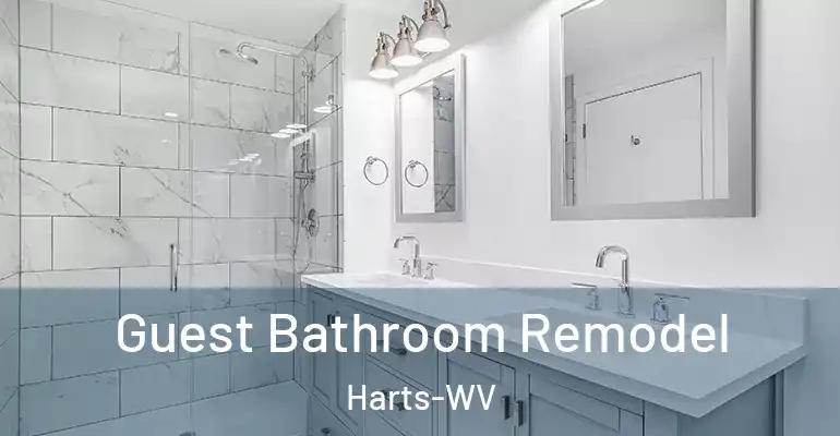 inner Bathroom imggen Guest Bathroom Remodel Harts-WV