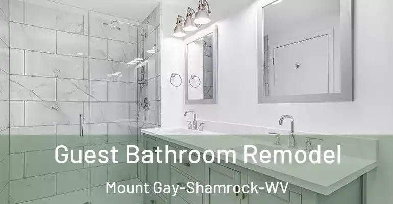 inner Bathroom imggen Guest Bathroom Remodel Mount Gay-Shamrock-WV