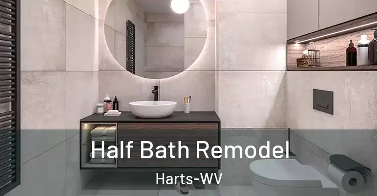 inner Bathroom imggen Half Bath Remodel Harts-WV