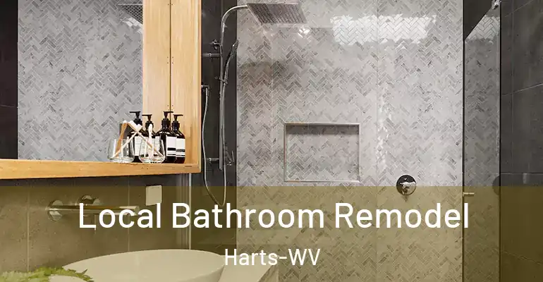inner Bathroom imggen Local Bathroom Remodel Harts-WV