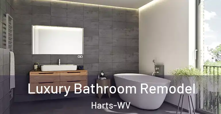 inner Bathroom imggen Luxury Bathroom Remodel Harts-WV