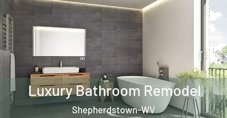inner Bathroom imggen Luxury Bathroom Remodel Shepherdstown-WV