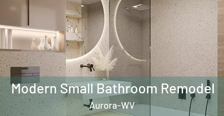 inner Bathroom imggen Modern Small Bathroom Remodel Aurora-WV