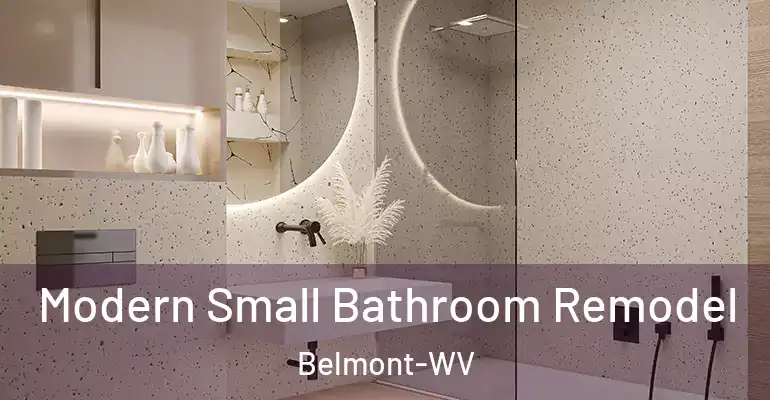 inner Bathroom imggen Modern Small Bathroom Remodel Belmont-WV