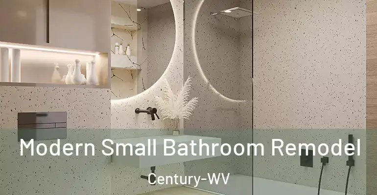 inner Bathroom imggen Modern Small Bathroom Remodel Century-WV