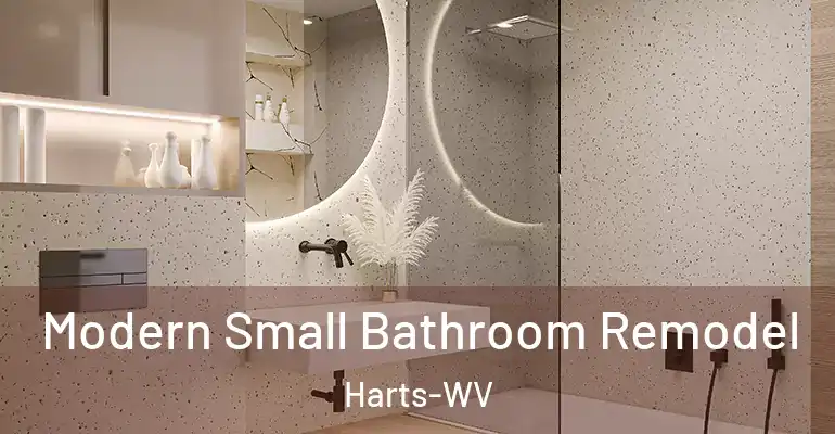 inner Bathroom imggen Modern Small Bathroom Remodel Harts-WV