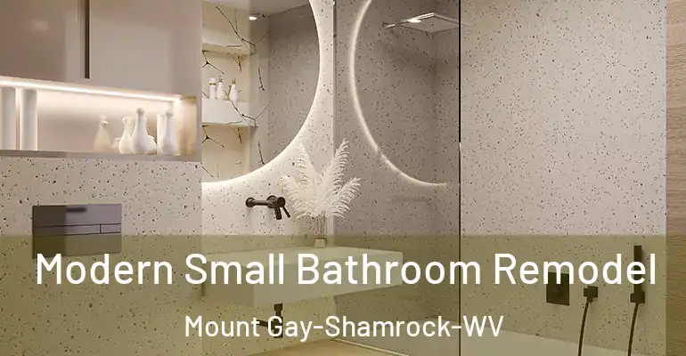 inner Bathroom imggen Modern Small Bathroom Remodel Mount Gay-Shamrock-WV