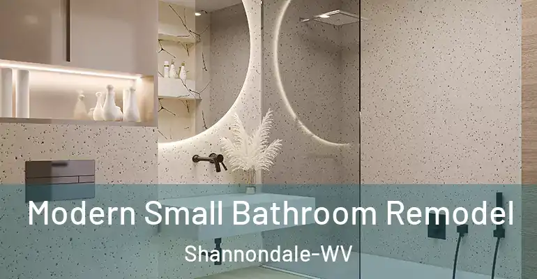 inner Bathroom imggen Modern Small Bathroom Remodel Shannondale-WV