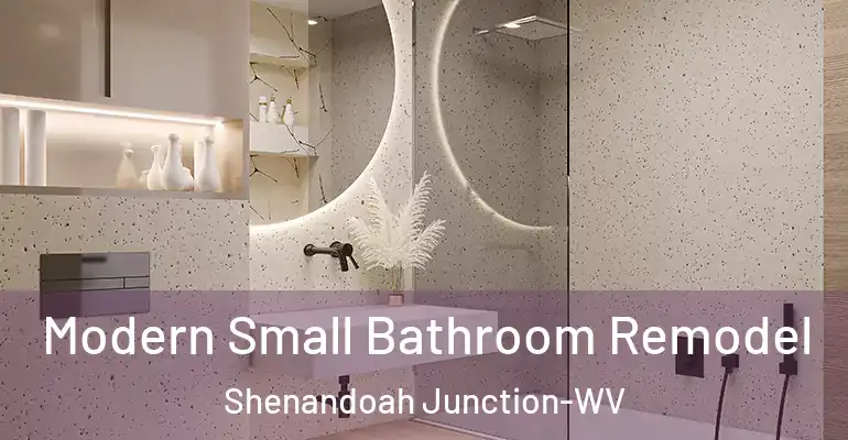 inner Bathroom imggen Modern Small Bathroom Remodel Shenandoah Junction-WV