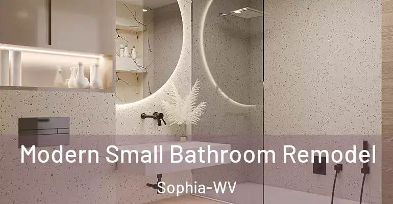 inner Bathroom imggen Modern Small Bathroom Remodel Sophia-WV