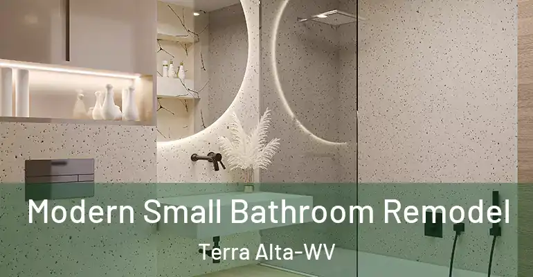 inner Bathroom imggen Modern Small Bathroom Remodel Terra Alta-WV