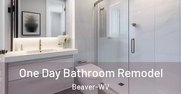inner Bathroom imggen One Day Bathroom Remodel Beaver-WV