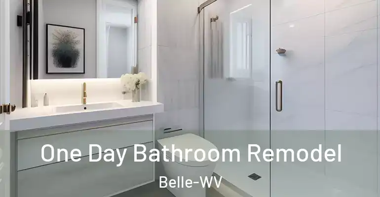 inner Bathroom imggen One Day Bathroom Remodel Belle-WV