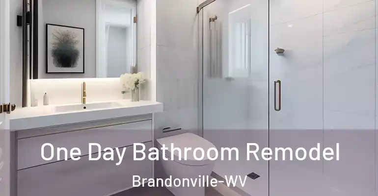 inner Bathroom imggen One Day Bathroom Remodel Brandonville-WV
