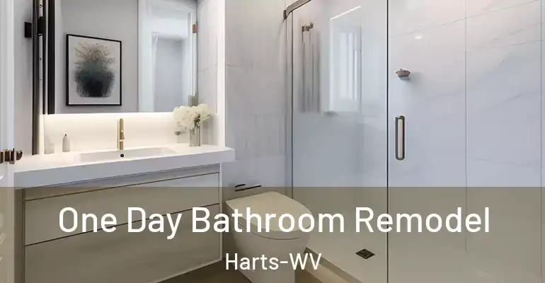 inner Bathroom imggen One Day Bathroom Remodel Harts-WV