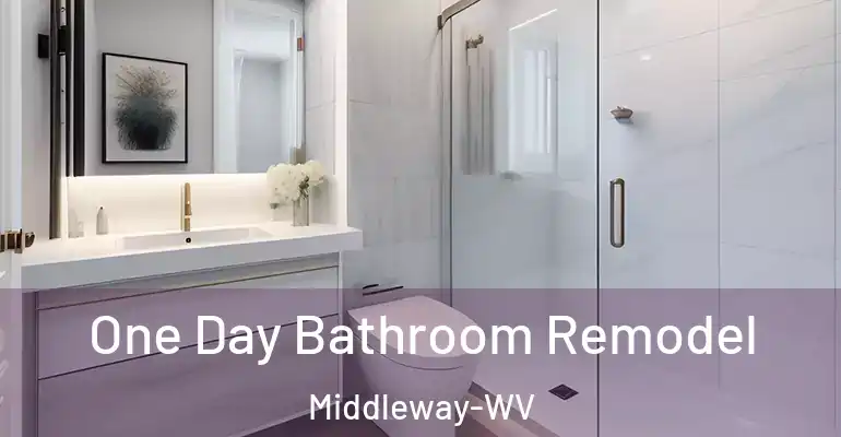 inner Bathroom imggen One Day Bathroom Remodel Middleway-WV