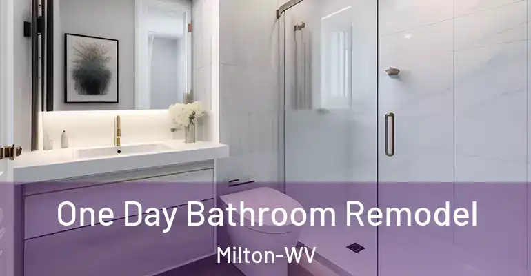 inner Bathroom imggen One Day Bathroom Remodel Milton-WV
