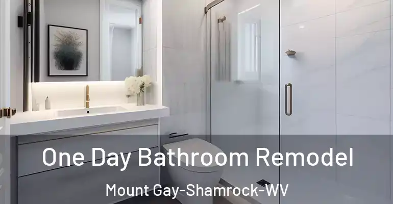 inner Bathroom imggen One Day Bathroom Remodel Mount Gay-Shamrock-WV