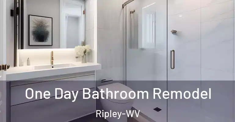 inner Bathroom imggen One Day Bathroom Remodel Ripley-WV
