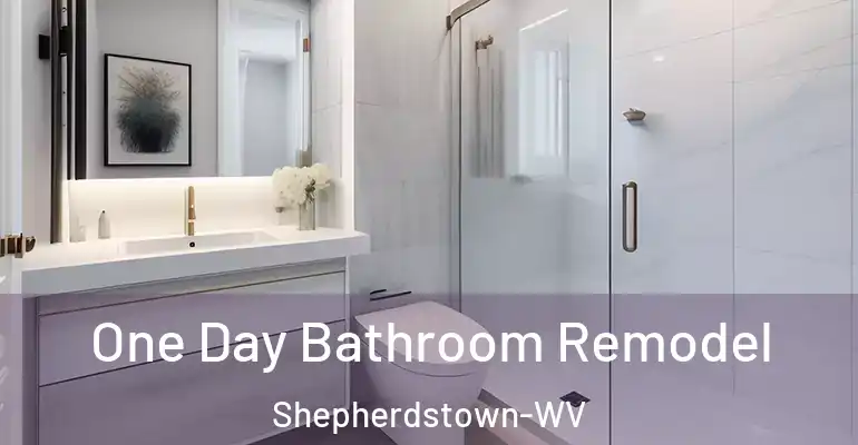 inner Bathroom imggen One Day Bathroom Remodel Shepherdstown-WV