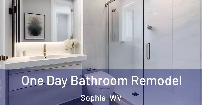 inner Bathroom imggen One Day Bathroom Remodel Sophia-WV