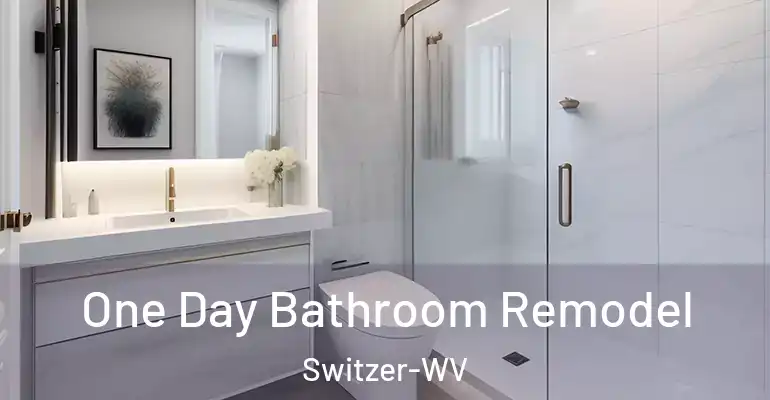 inner Bathroom imggen One Day Bathroom Remodel Switzer-WV