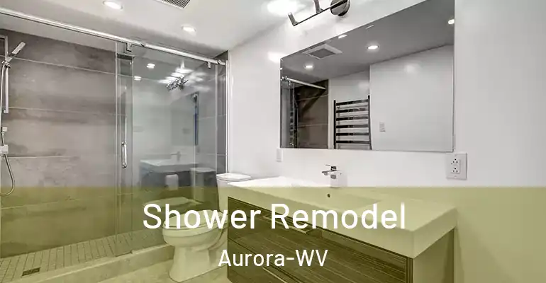 inner Bathroom imggen Shower Remodel Aurora-WV