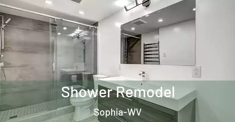 inner Bathroom imggen Shower Remodel Sophia-WV