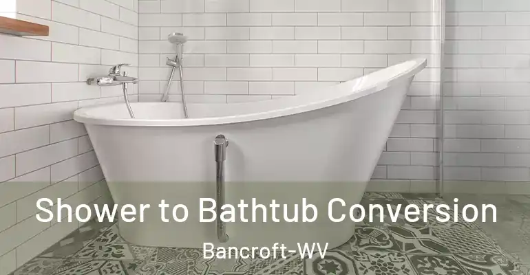 inner Bathroom imggen Shower to Bathtub Conversion Bancroft-WV