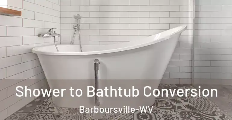 inner Bathroom imggen Shower to Bathtub Conversion Barboursville-WV