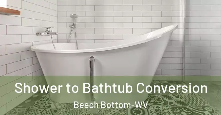 inner Bathroom imggen Shower to Bathtub Conversion Beech Bottom-WV
