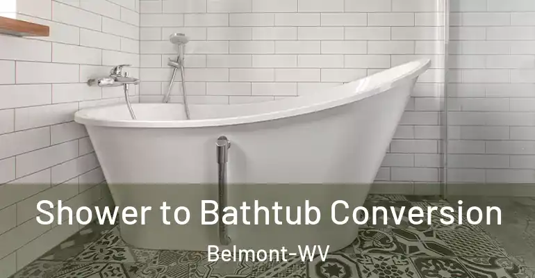 inner Bathroom imggen Shower to Bathtub Conversion Belmont-WV