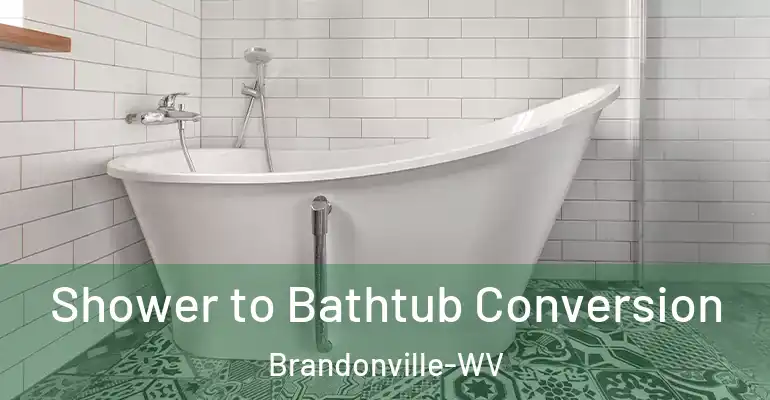inner Bathroom imggen Shower to Bathtub Conversion Brandonville-WV