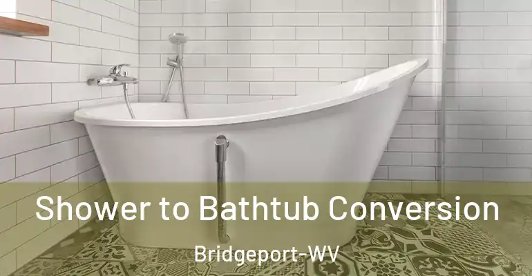 inner Bathroom imggen Shower to Bathtub Conversion Bridgeport-WV