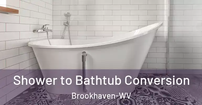 inner Bathroom imggen Shower to Bathtub Conversion Brookhaven-WV