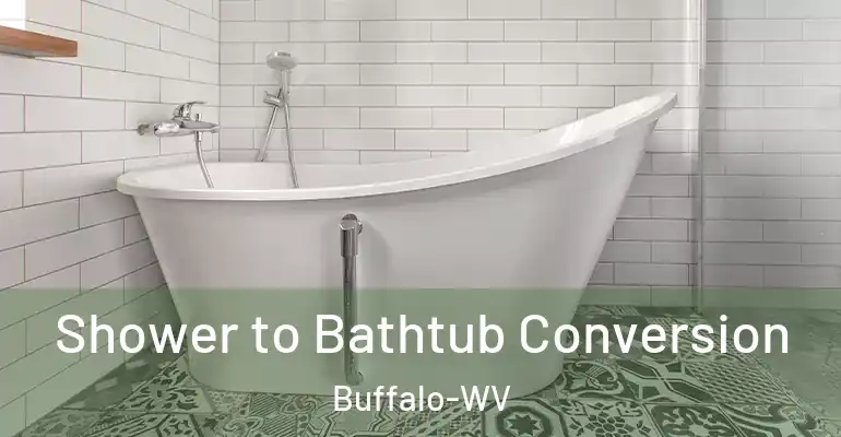 inner Bathroom imggen Shower to Bathtub Conversion Buffalo-WV